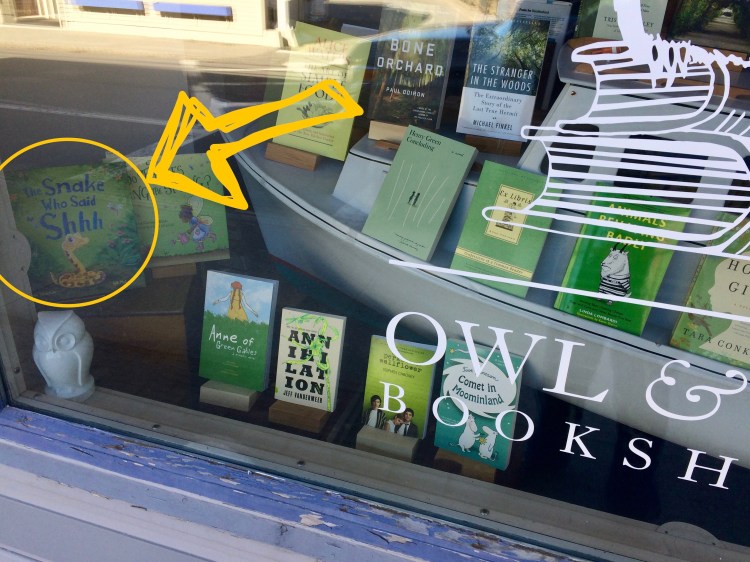 SNAKE IN THE WINDOW 2